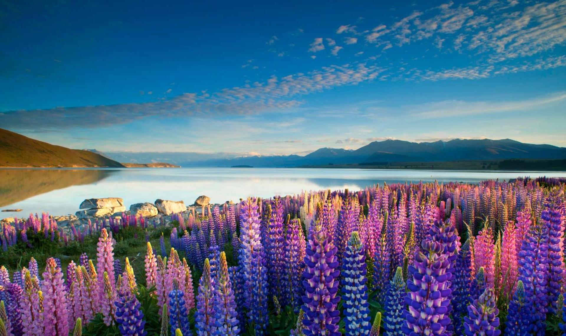 Tekapo1929 Lakefront Villa بحيرة تيكابو المظهر الخارجي الصورة