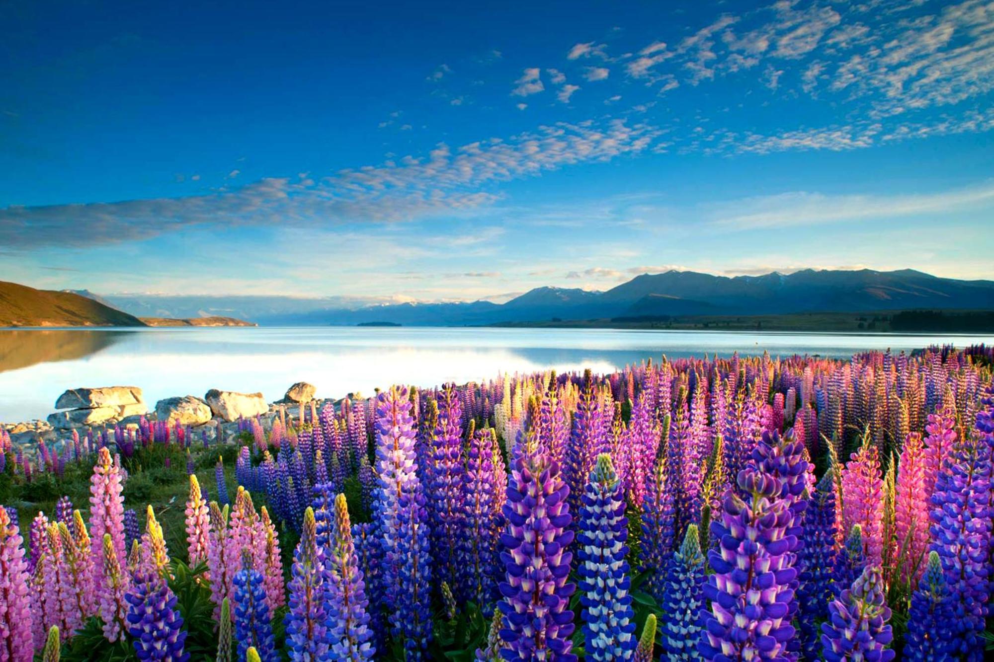 Tekapo1929 Lakefront Villa بحيرة تيكابو المظهر الخارجي الصورة